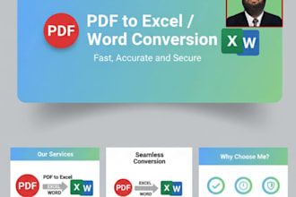 provide excel or word data entry services
