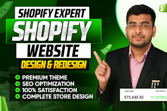 build a professional shopify store, shopify dropshipping store