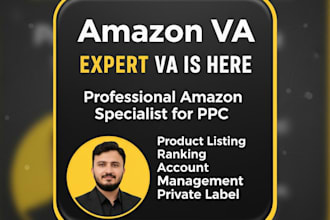 amazon fba PPC expert and account reinstatement consultant