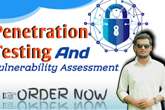 do professional penetration testing and vulnerability assessment