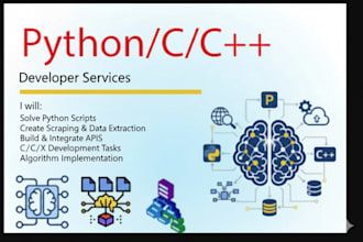 be your expert python, c, developer for custom scripts and apis