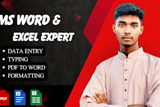 do data entry, typing, and ms word excel work professionally