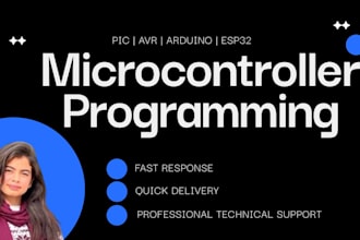 design and program microcontroller based project