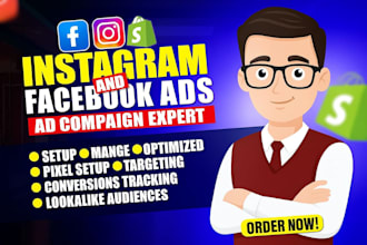 professional meta ads manager, facebook ads manager, setup instagram ads