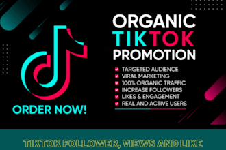 increase your social media accounts followers