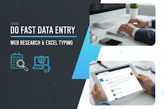 do professional data entry, excel, copy paste web research expert