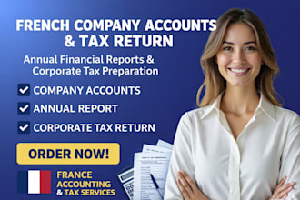 prepare french company accounts, annual report and corporate tax return