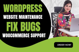 provide wordpress website maintenance, bug fixing, and woocommerce support