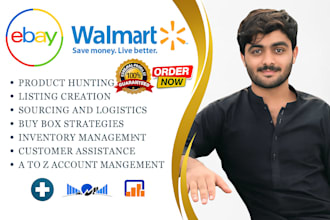 be your expert ebay and walmart virtual assistant