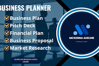 write a professional investor ready business plan with financials