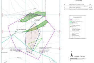 do maps of spatial geoprocessing, sig projects, ndvi in qgis or arcgis pro
