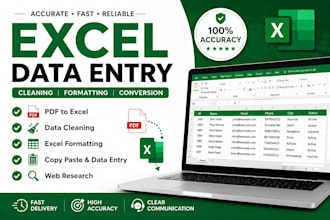 do excel data entry, PDF to excel, data cleaning and formatting