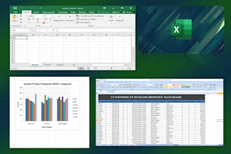 do basic data entry, cleaning, and formatting in excel