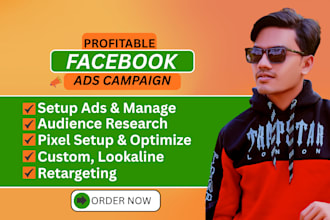 setup facebook ads campaign for unlimited sales