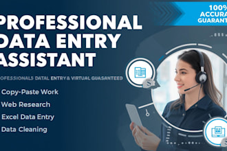 do fast and accurate data entry and excel data entry