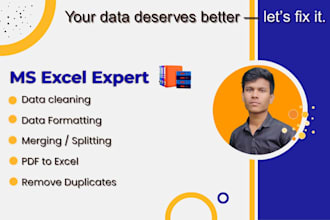 do data cleaning, formatting, merging in excel