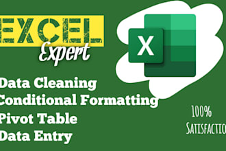data formatting, data cleaning