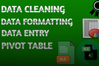 data formatting, data cleaning