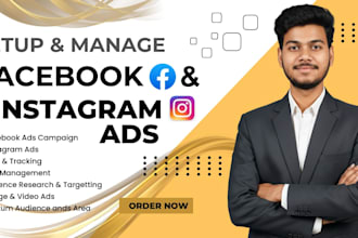 setup and manage facebook and instagram ads for high ROI