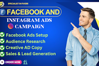 setup and manage facebook ads, conversion with fb pixel and meta ads campaign