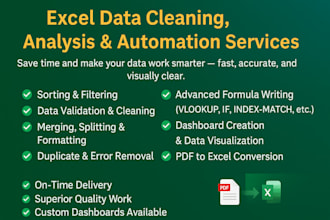 be your excel expert for data cleaning formatting analytics dashboard