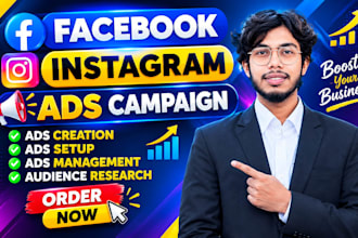 setup your facebook ads, instagram ads, meta ads campaign, drive sales and leads