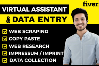 be your VA, data entry, web research, lead generation, copy paste, web scraping
