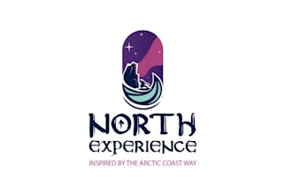 made greatest arctic surfing logo under the northern lights