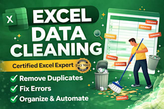 do excel data cleaning, formatting, organising
