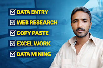 do fast and accurate data entry, copy paste, web research