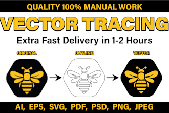 vector tracing, retrace, redraw, convert logo or image