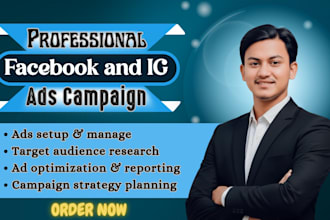 run profitable facebook and instagram ads for your business