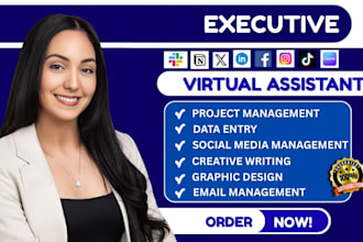 be executive personal creative administrative virtual assistant and social media