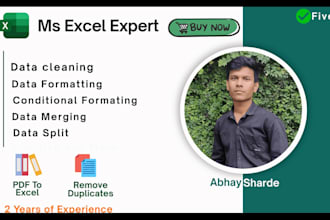 do data merging, splitting, formatting and cleaning in excel