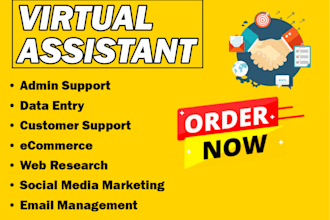 be your technical and administrative virtual assistant