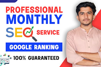 professional monthly SEO service site audit