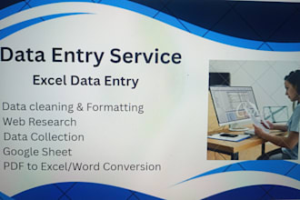 provide data entry and web research services at an affordable price