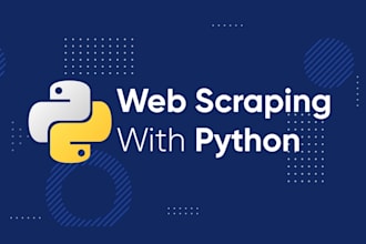 build python web scrapers and automation