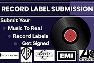 provide strategic record label submission for your music