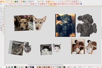 do perfect embroidery digitizing and quick delivery