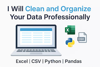 clean data for you for cheap