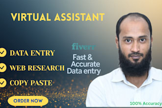 do perfectly data entry, web research and copy paste