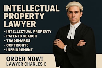 be intellectual property, trademark, patent and copyright infringement lawyer