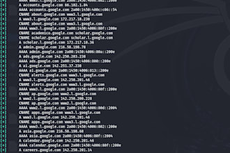 perform a professional network penetration test and deliver a clear remediation