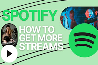 do professional spotify music advertising to get more streams