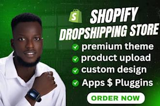 create a converting dropshipping shopify store shopify website