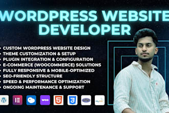 do custom wordpress development