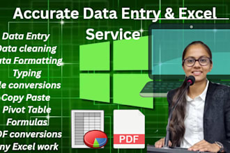 do 1 data entry  2 data cleaning  3 typing   5 excel