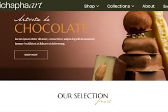 design profitable chocolate shopify store ice cream website snacks candy website