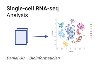 analyze your single cell rna seq data and provide tailored insights